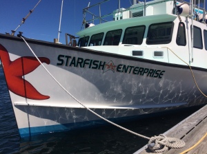 College of the Atlantic - The good ship Starfish Enterprise